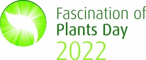 Dia Internacional do Fascínio das Plantas 2022 | EPSO