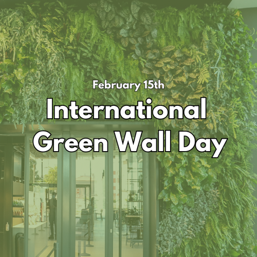 15 de Fevereiro | International Green Wall Day